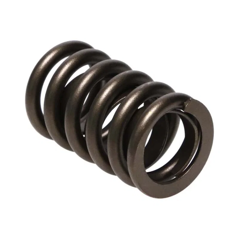 Manley Performance 22409-16, Valve Spring for Ford F-150