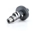 COMP Cams EVL-3060, Harley Davidson Big Twin Evolution 260/270 at .053.
