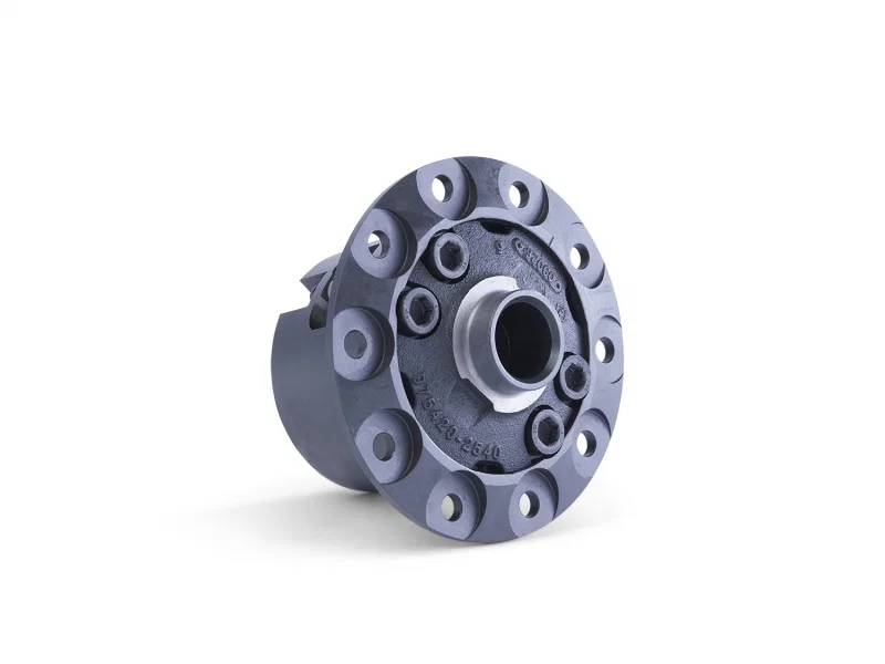 Ford Racing M-4204-T31, 8.8inch T-2 Torsen Differentials for Ford Mustang