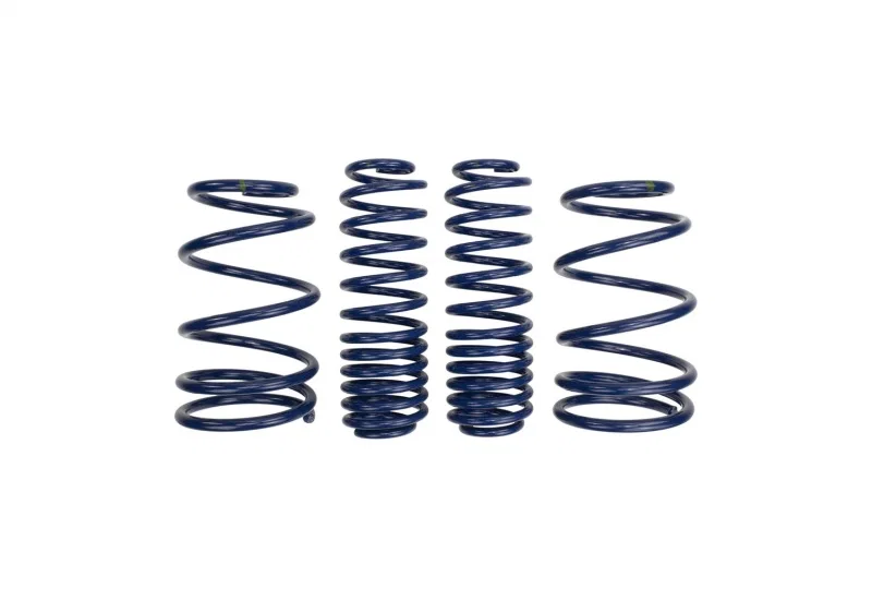 Ford Racing M-5300-L, 2007-2014 Mustang Shelby GT500 Springs