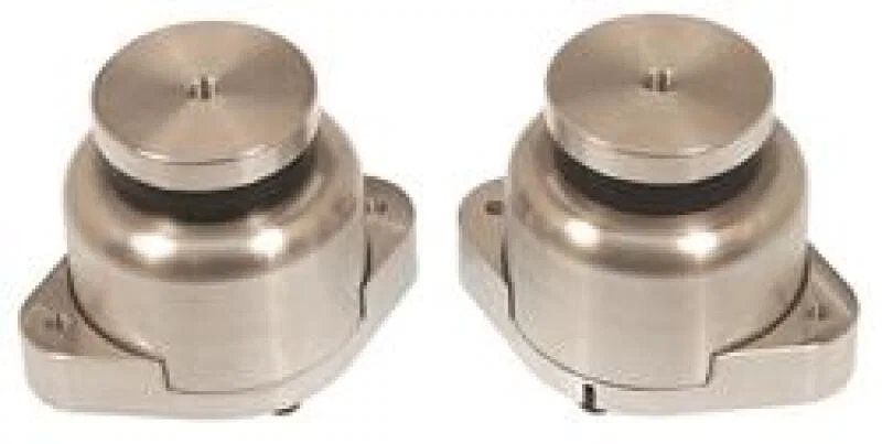 Prothane 2-1600-BL, Audi R8 Motor & Trans Mount Kit - Black