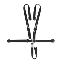 Racing Latch   FX2 Belt image 1