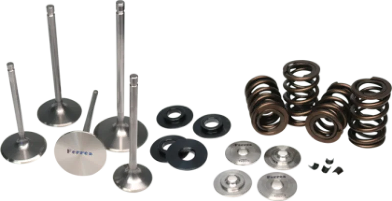 Ferrea KT9015, 03-06 Yamaha 700R Grizzly/Raptor/Rhino Dual Valve Spring Kit