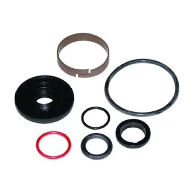 QA1 RK17, Series (w/New Seal) Double Adjustable Rebuild Kit