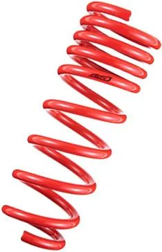 Tanabe TDF153, DF210 Springs 10-10 Prius