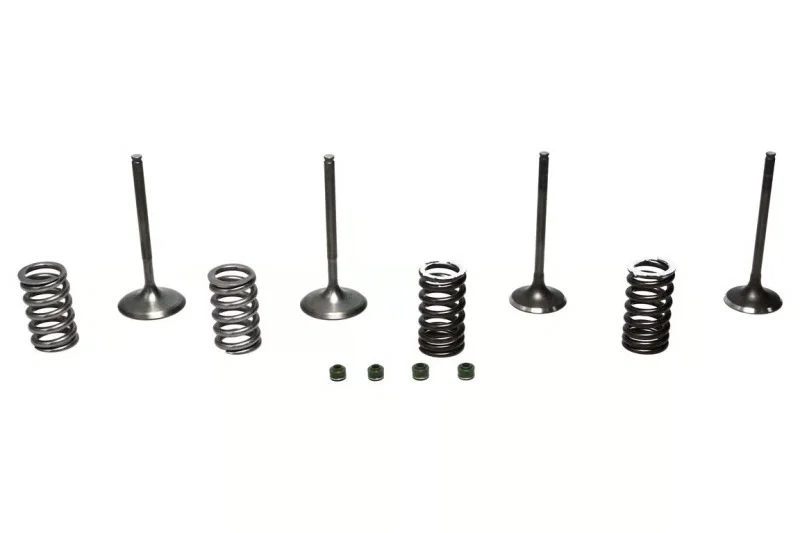 Wiseco SVKB1403, 02-06 CRF450R Steel Valve Set