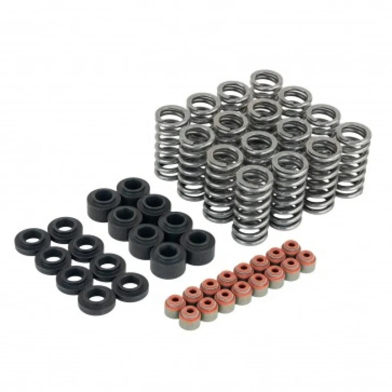Skunk2 Racing 313-05-9400, Honda L15B7 Ultra Valve Springs and Spring Base Kit