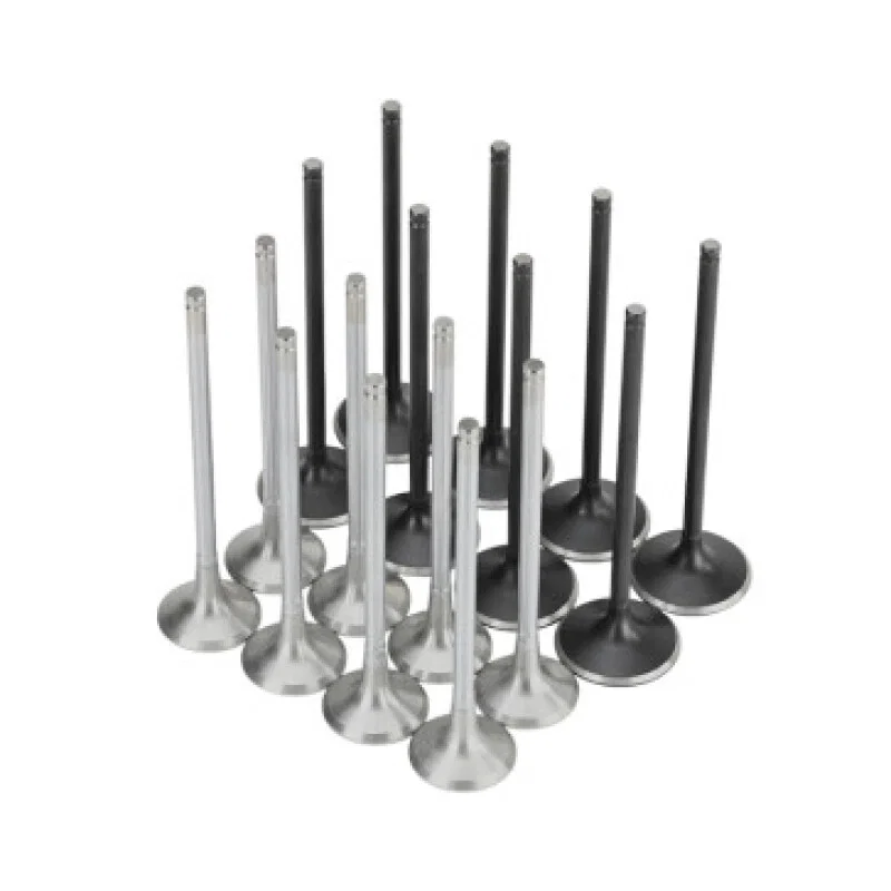 Skunk2 Racing 310-05-2000, Honda K20C1 Alpha Series Intake & Exhaust Valve Set (Standard Compression)