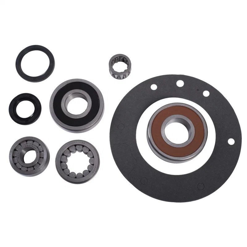OMIX 18806.10, Bearing and Seal Overhaul Kit AX15 for Jeep