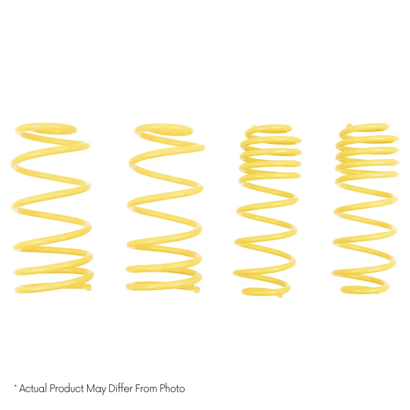 ST Suspensions 68325, Muscle Car Springs
