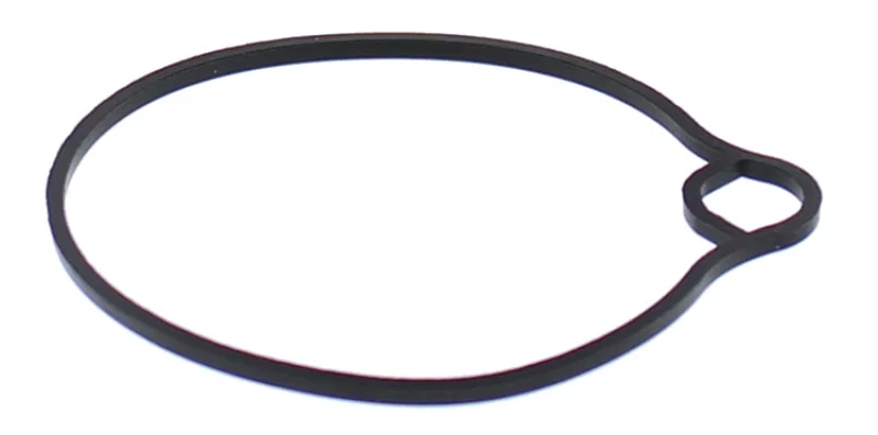 All Balls Racing 46-5022, 2008 Arctic Cat 50 2x4 Float Bowl Gasket Only