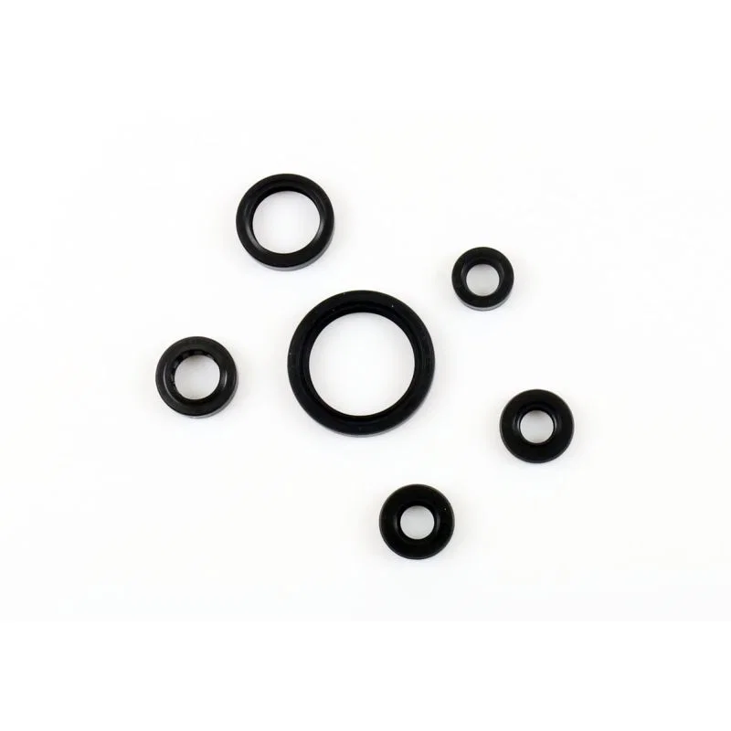 Athena P400510400036, 00-07 Suzuki DR-Z 400 Engine Oil Seal Kit