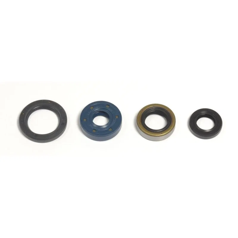 Athena P400250400030, 02-08 Kawasaki KLX 110 Engine Oil Seal Kit