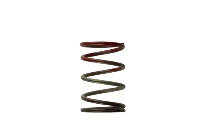 Turbosmart TS-0505-2004, WG40 11PSI Middle Spring Brown/Red