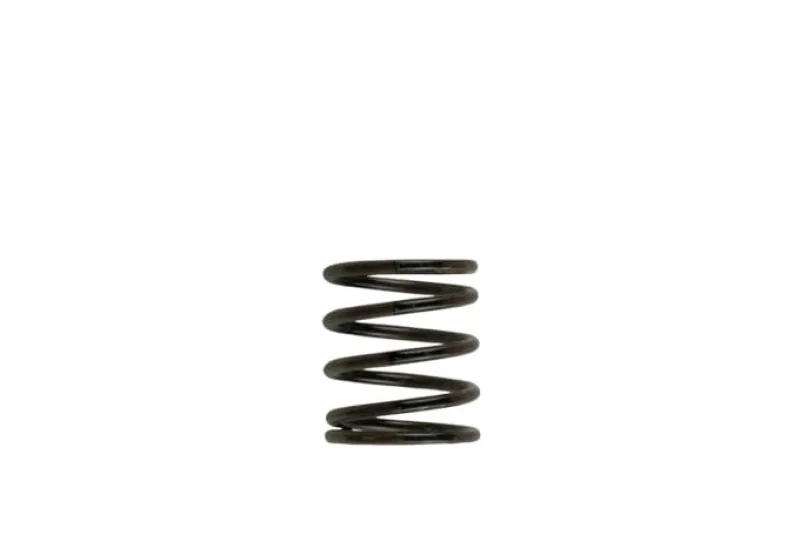 Turbosmart TS-0505-2001, WG40 3PSI Inner Spring Brown/Black for Ford F-350 Super Duty