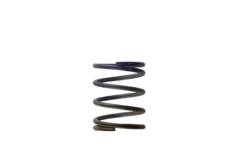 Turbosmart TS-0505-2003, WG40 7PSI Middle Spring Brown/Purple