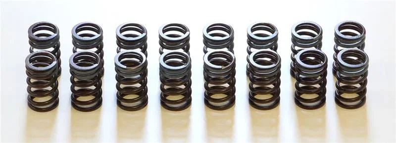 HKS 22001-AN002, 91-00 Infiniti G20 SR20DET Outer Valve Spring Set