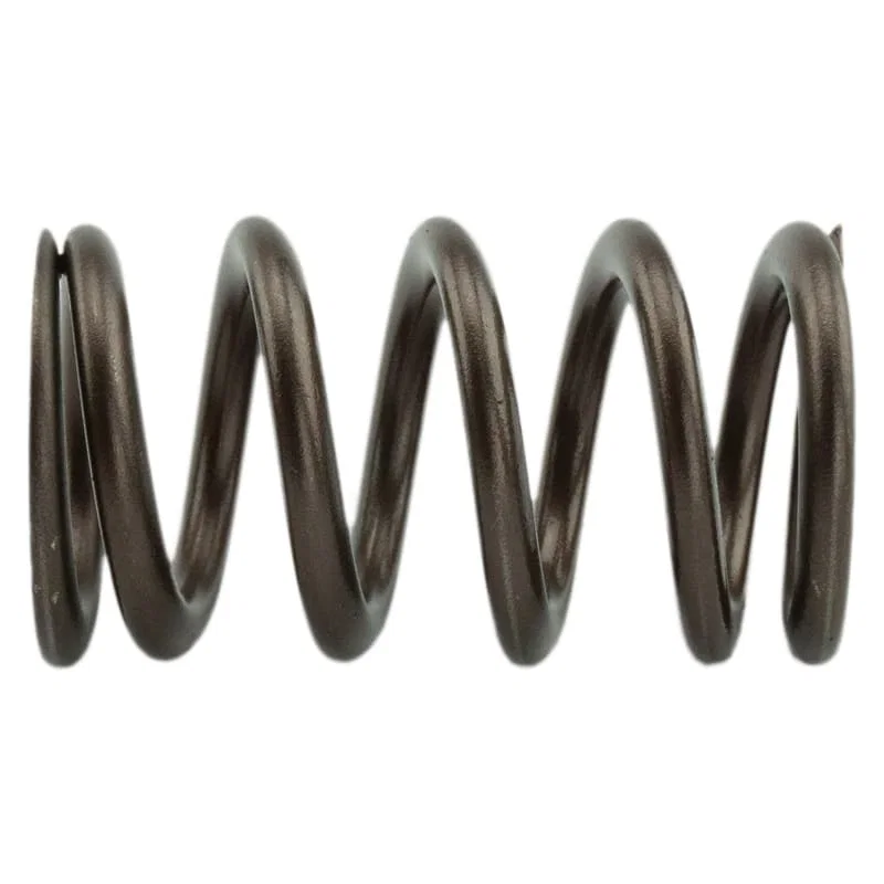 Industrial Injection PDM-160-1484S-24, 110 LBS Single Valve Spring Set for Dodge