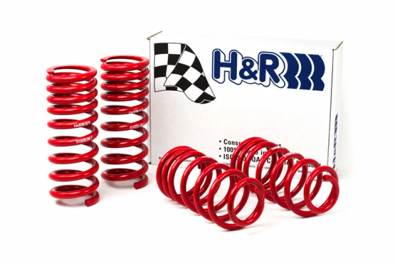 H&R 51650-88, 94-95 Ford Mustang/Mustang Cobra V8 Race Spring