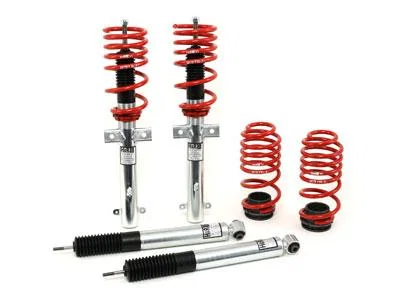 H&R 51656, 07-10 Ford GT500/GT500 Convertible V8 Street Perf. Coil Over