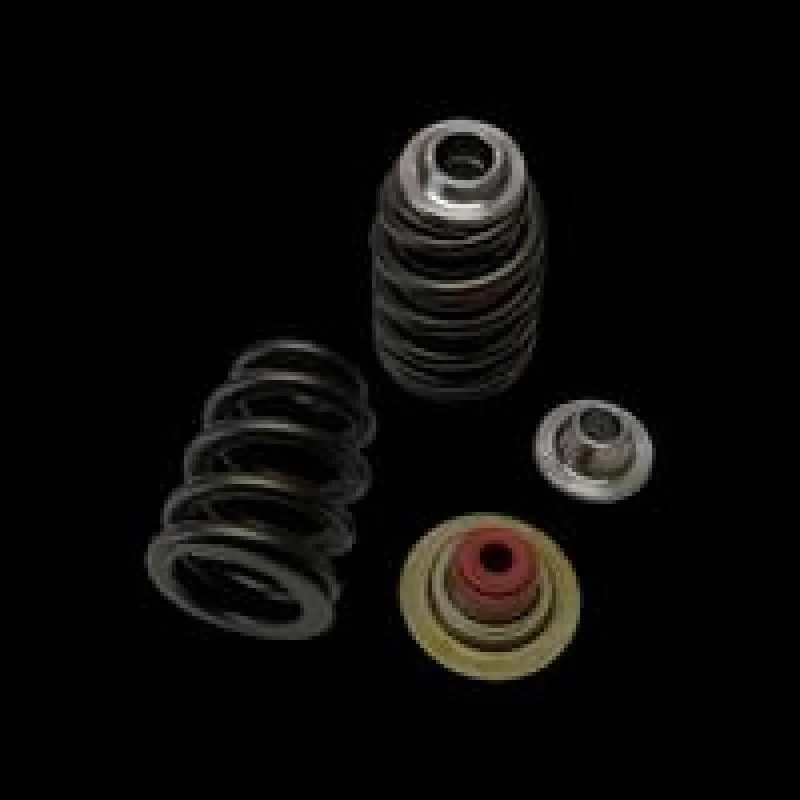 Brian Crower BC0930, Can-Am X3 Rotax 900 Ace Beehive Spring/Steel Retainer/Seat w/ Seal Kit