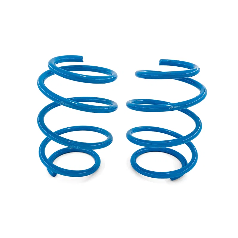 BLOX Racing BXSS-01006, Lowering Springs 16-21 Honda Civic Coupe/Sedan Base/Si (Excl. Type-R)