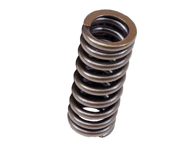 BLOX Racing BXPT-20301, Valve Springs for D-series SOHC VTEC D16Z-Y (1.6L SOHC VTEC) for Honda