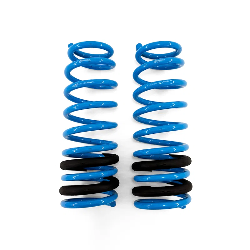 BLOX Racing BXSS-01002, Lowering Springs 96-00 Honda Civic