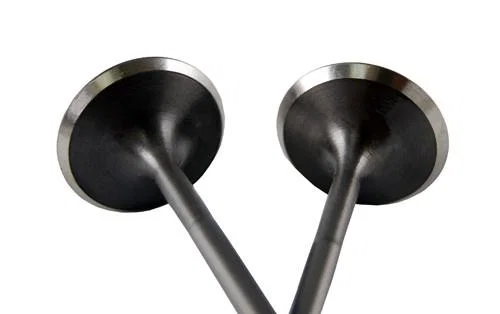 BLOX Racing BXPT-20204, High Compression Intake Valve Set for Honda F20C (set of 8)