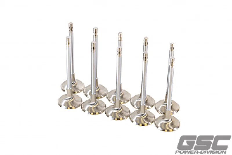 GSC Power Division 2256-10, P-D Audi DAZA 33.9mm Head STD 104mm Long Chrome Polished Intake Valve - Set of 10 for Ram 1500