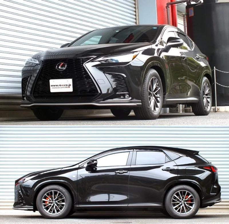 RS-R T523D, 2021+ Lexus NX450h+ / F-Sport (AAZH26) AWD Down Sus Springs