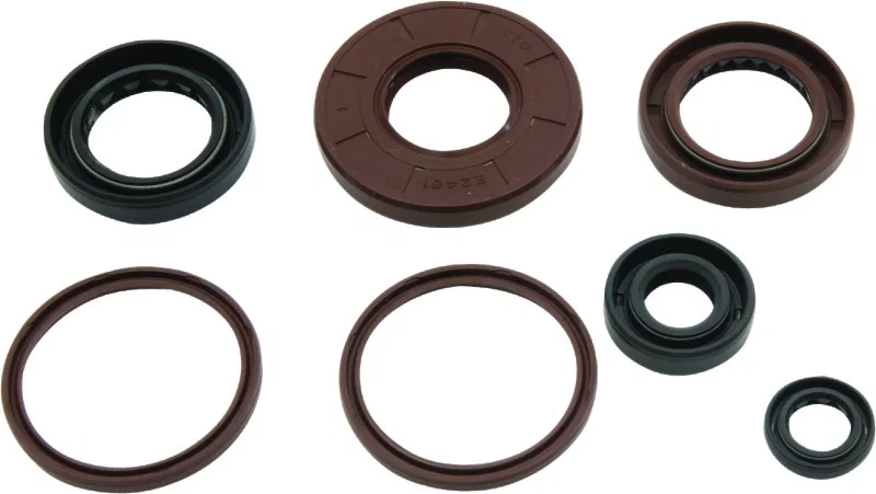QuadBoss 564643, Oil Seal Set for Arctic Cat DVX 300