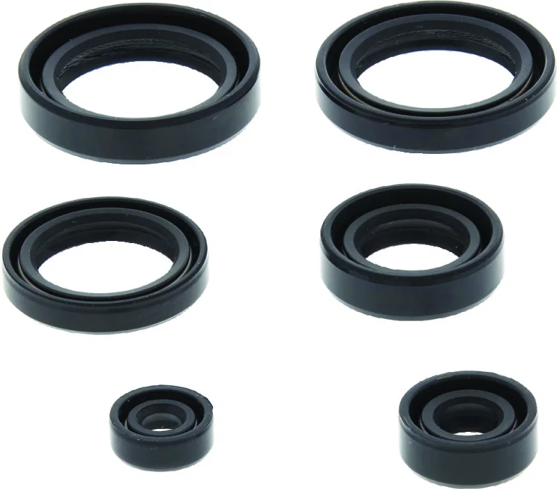 QuadBoss 564398, Oil Seal Set for Honda