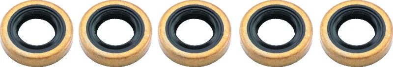 TwinPower 043272, 94-06 Big Twin Exc 06 Dyna Started Jackshaft Seal Replaces H-D 12066 5 Pk for Harley-Davidson
