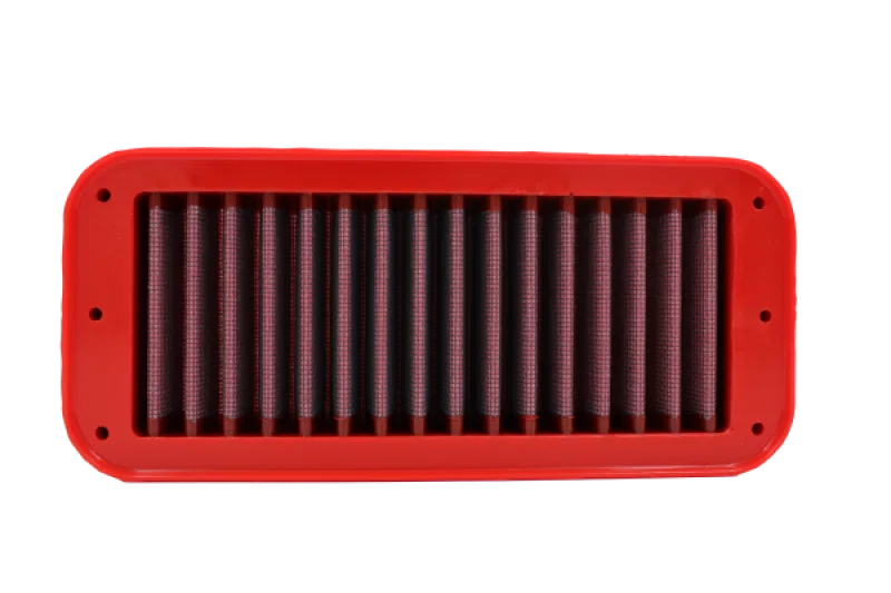 BMC FM01202, 23+ Indian Challenger/ Pursuit 108 Air Filter