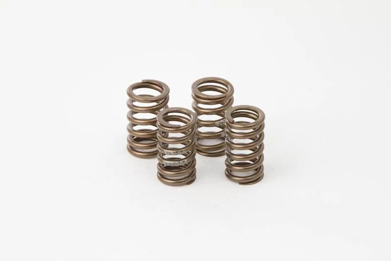 Hot Cams VSK2006, Valve Spring Kit, Boxed, ea, 1 for Mazda CX-30