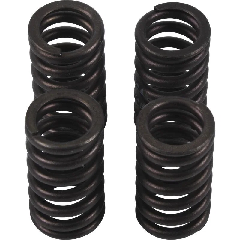 Hot Cams VSK2002, Valve Spring Kit, ea, 1 for Jaguar