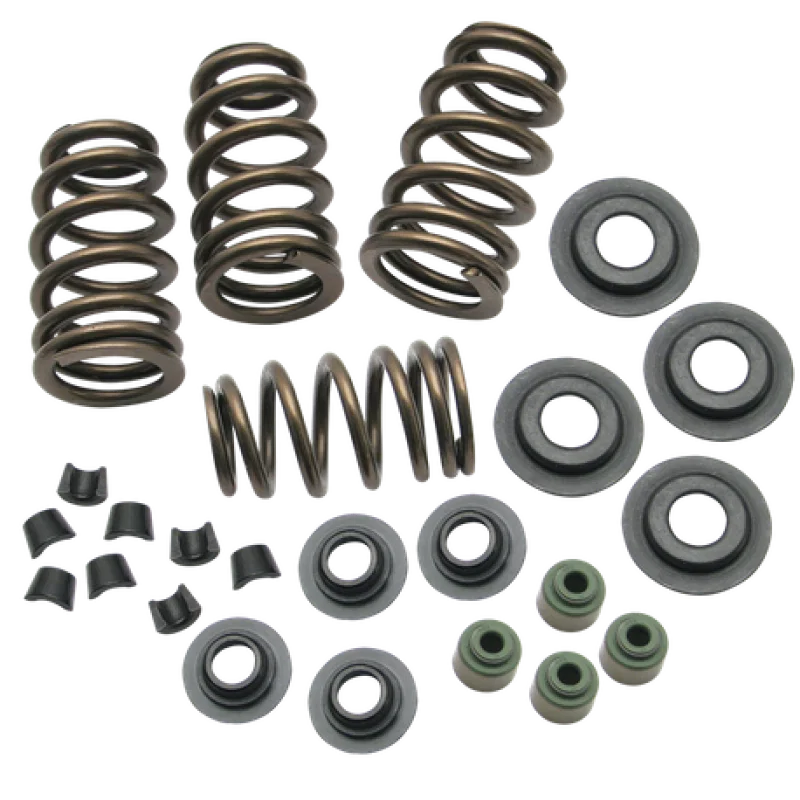 S&S Cycle 106-5909, 04-19 XL Valve Spring Kit - .650in for Harley-Davidson