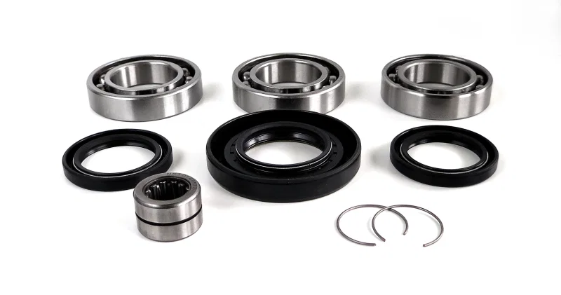 EPI WE290128, 07-20 Honda 420 Rancher/ 500-520 Foreman Rear Differential Bearing and Seal Kit