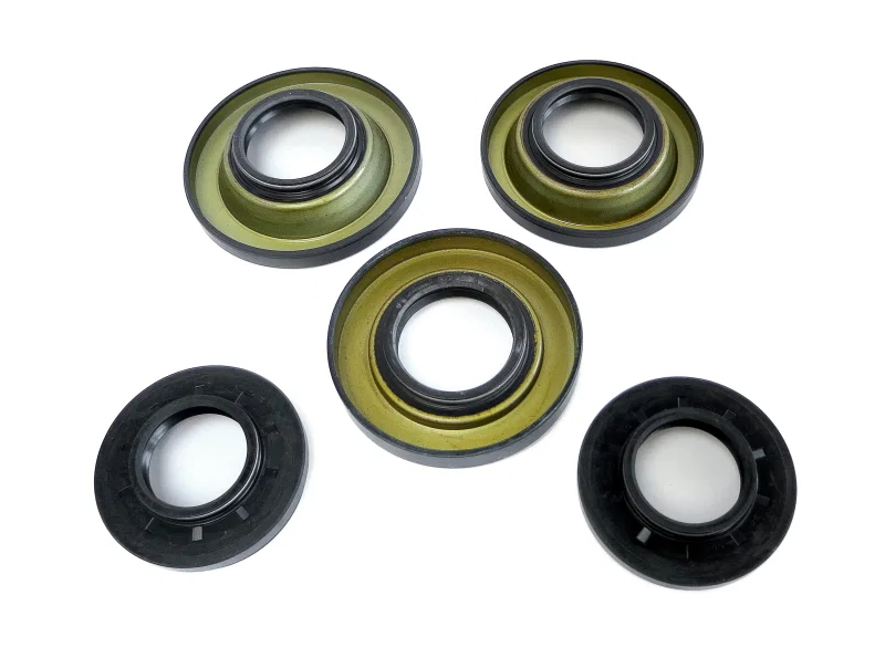 EPI WE290111, 03-20 Honda 650-680 Rincon Rear Differential Seal Kit for Mitsubishi Lancer