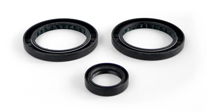 EPI WE290124, 99-04 Polaris 300-650 Magnum/Sportsman Differential Seal Kit for Mitsubishi